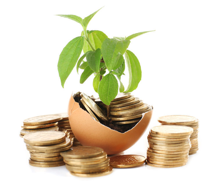Green plant sprouting from a cracked egg on a pile of coins, symbolising growth through meaningful B2B sales value.