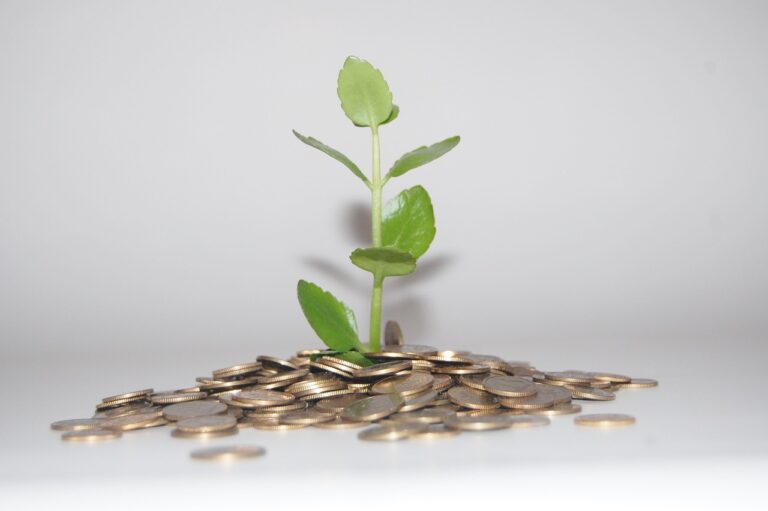 Small plant sprouting from stacked coins, representing mindset growth and value creation in sales leadership.
