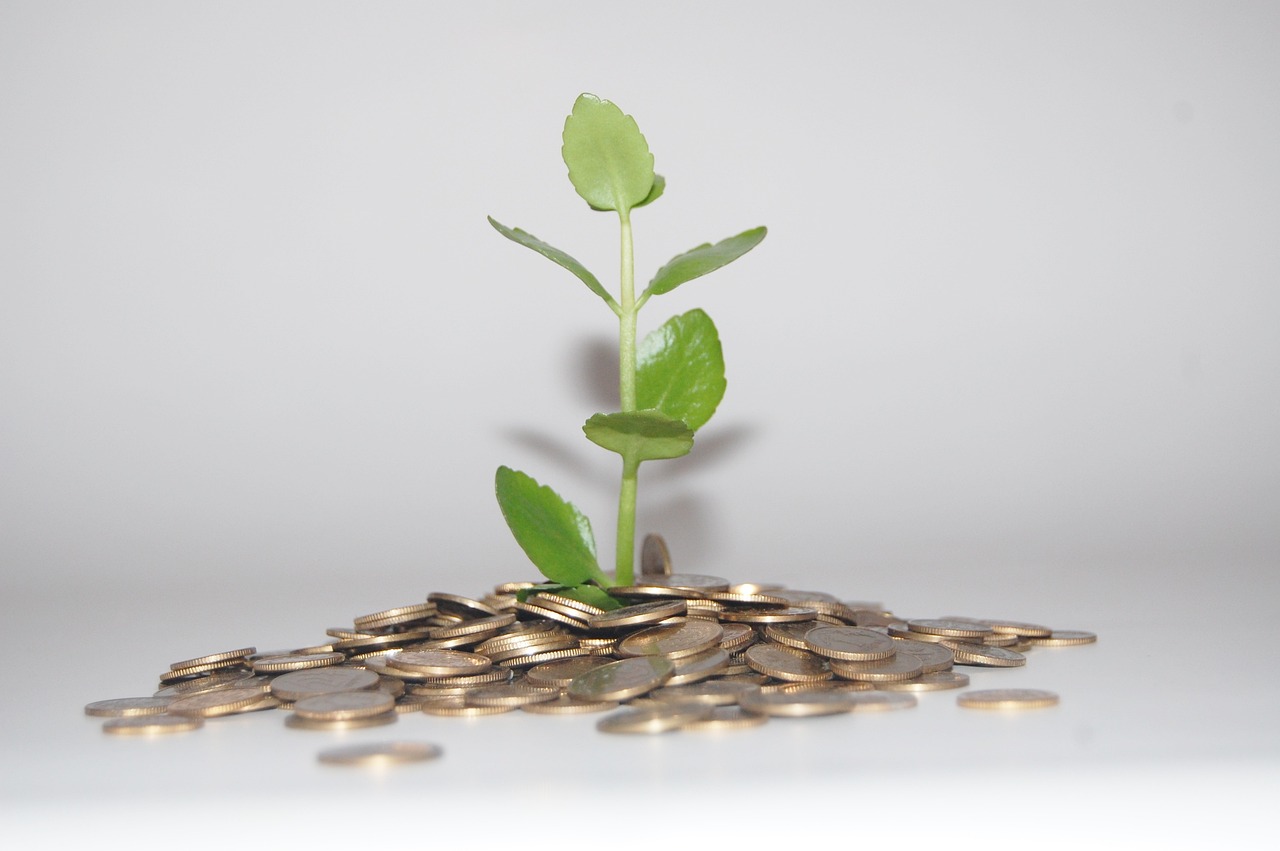 Small plant sprouting from stacked coins, representing mindset growth and value creation in sales leadership.