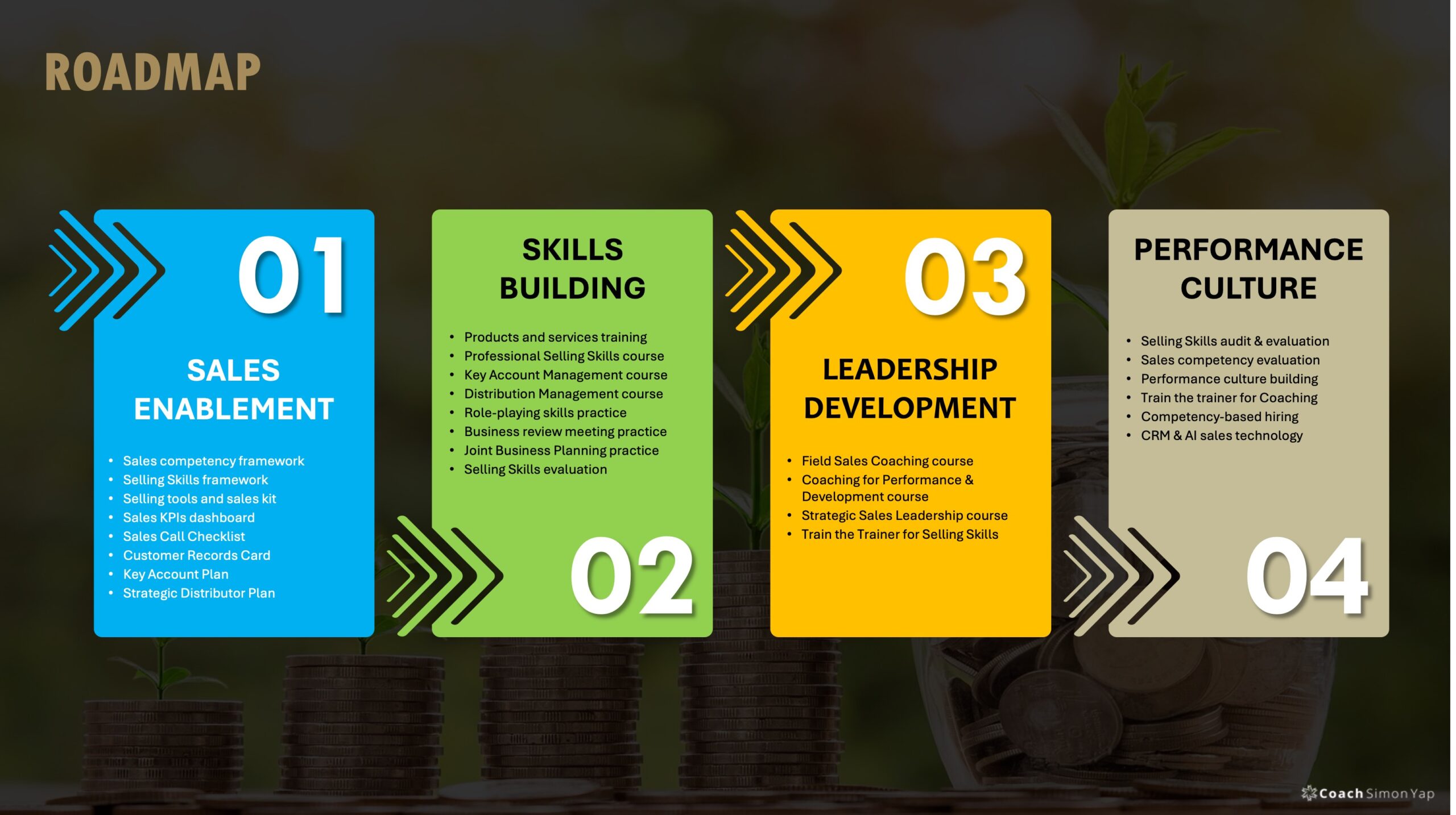 Sales capability development roadmap showing sales enablement, skills building, leadership development, and performance culture as connected stages for sustainable growth.