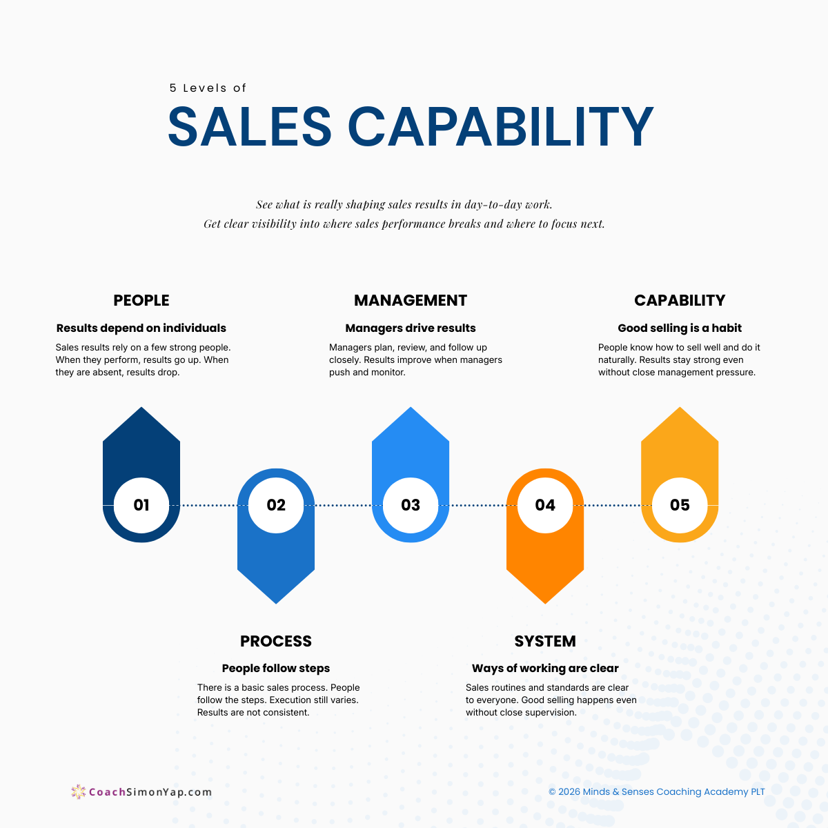 5 Levels Sales Capability 5 Levels of Sales Capability framework showing People, Process, Management, System and Capability
